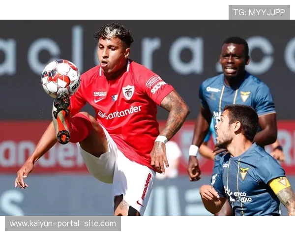 米拉索尔作为升班马表现惊艳 最终排名第四锁定解放者杯资格